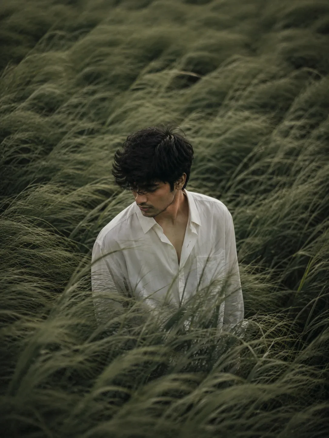 Cinematic Windblown Grass Portrait AI Prompt | Moody Editorial Film Photography preview example result
