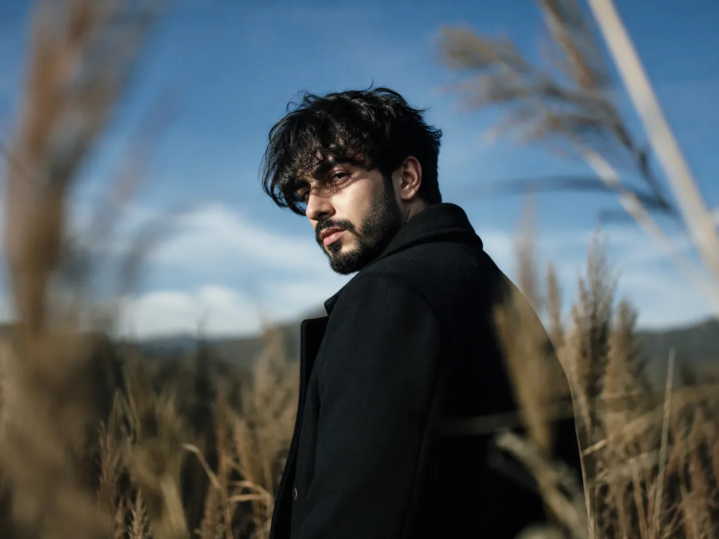 Intense gaze in the open field AI Photo Prompt preview example result