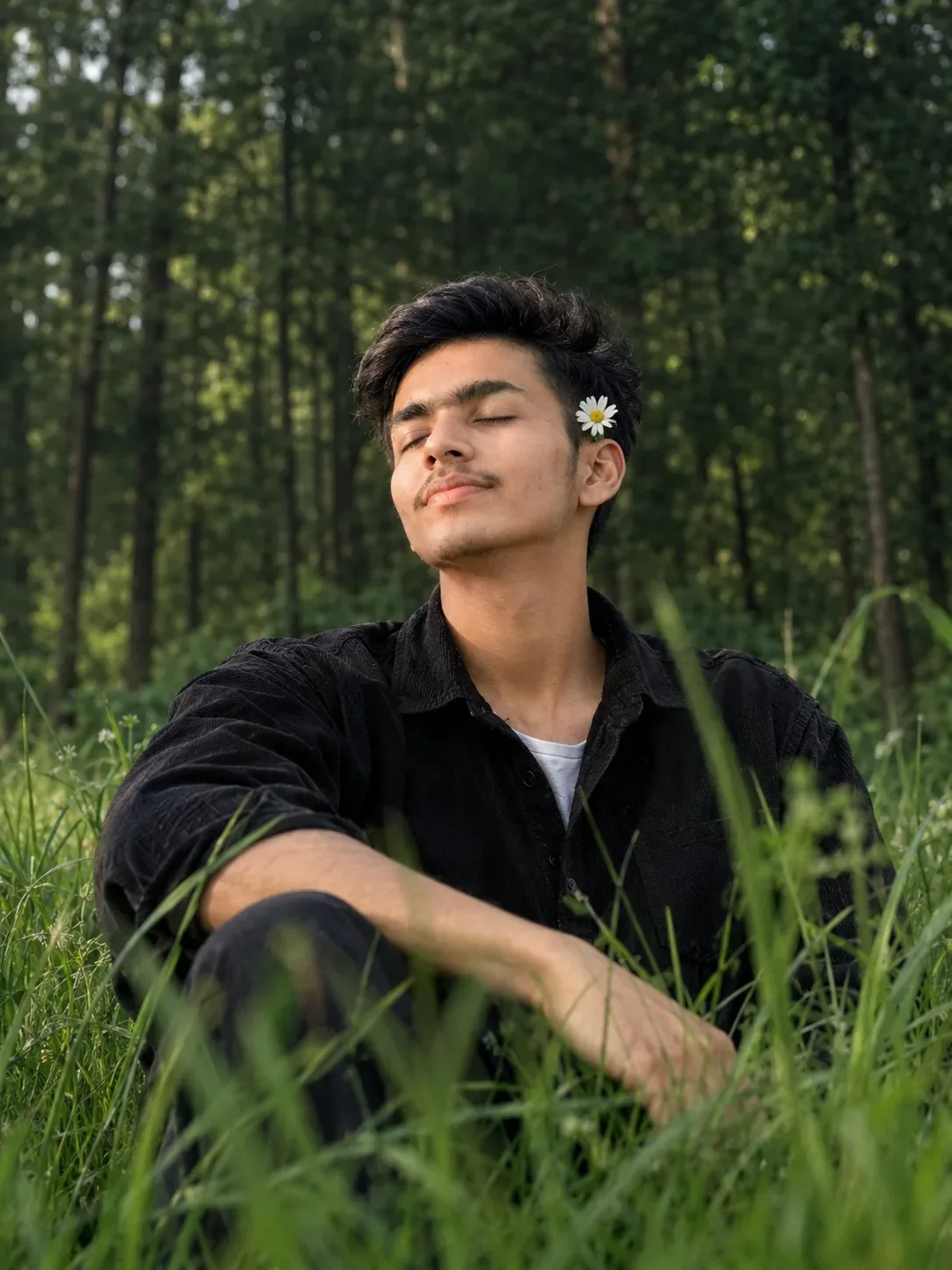 Lush Nature Forest Editorial AI Photo Prompt Edition 13 preview example result
