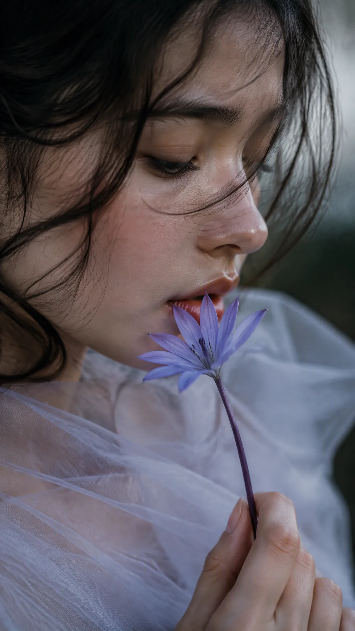 Tanvir @Tanvir489922Hsoft Mornings AI Photo Prompt generated preview