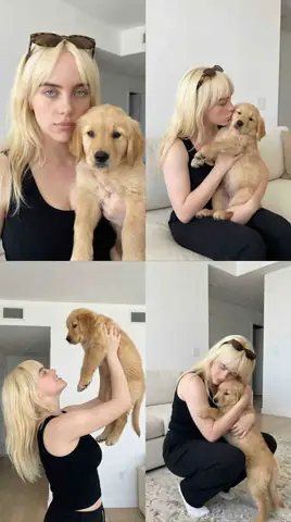 Golden Retriever Puppy Collage | Woman and Dog 2x2 Grid - copy paste viral AI prompt
