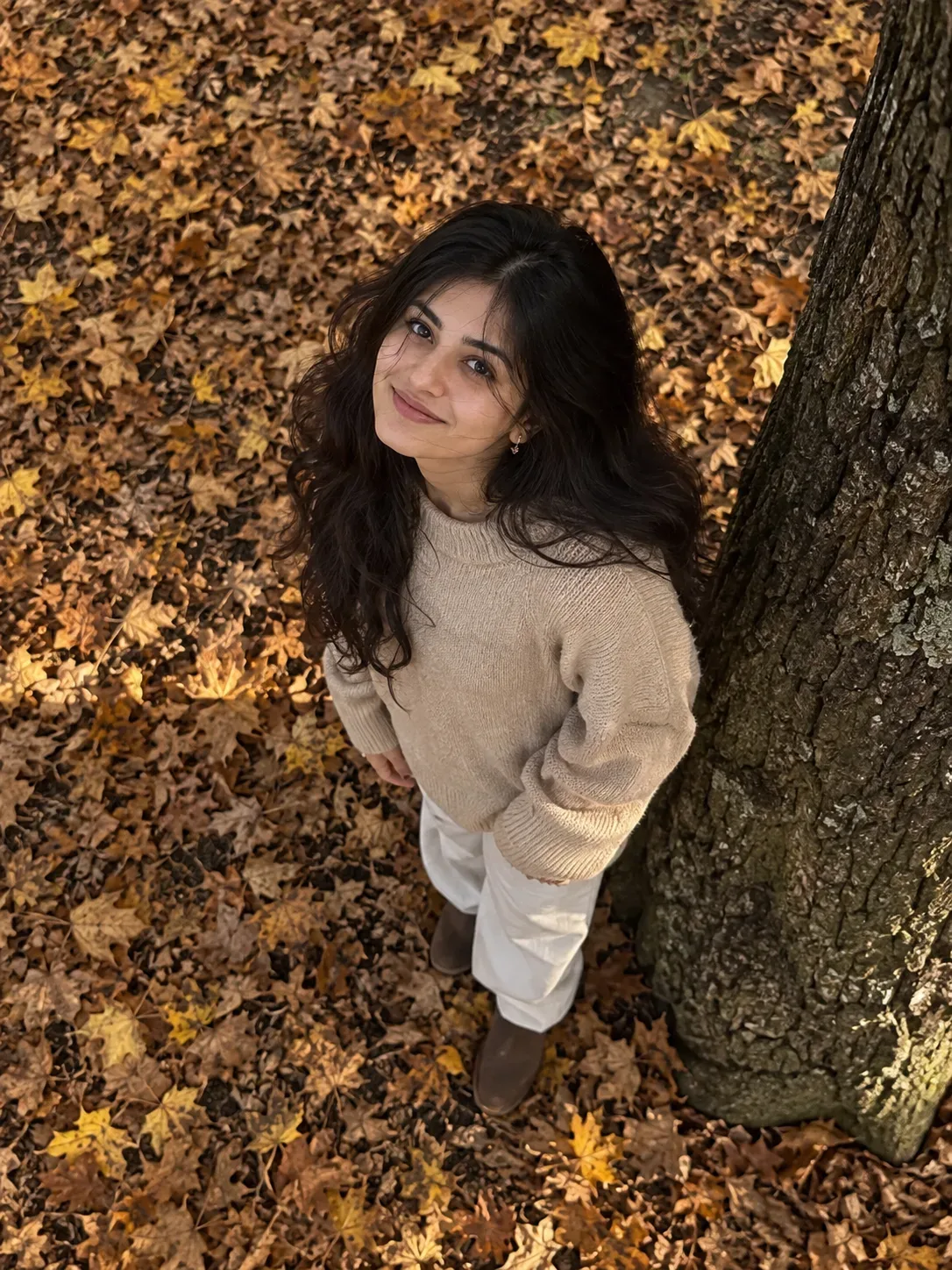 Ultra Realistic Cinematic Top Down Photograph Of A Young Lady AI Photo Prompt preview example result